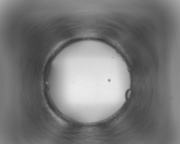 X0000066940629200604142024