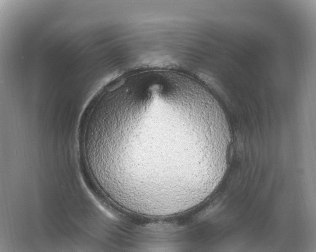 X0000066940630200604142024