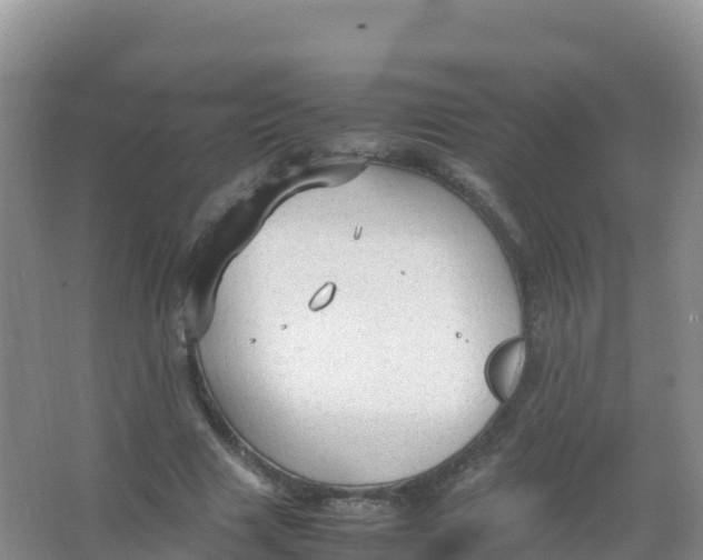 X0000066940633200604142024