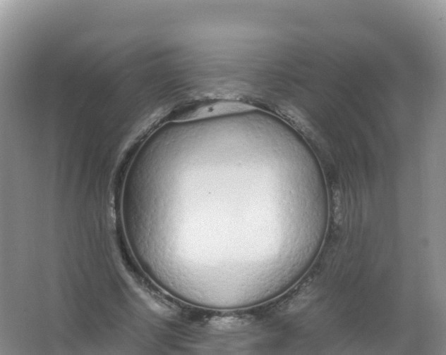 X0000066940634200604142024