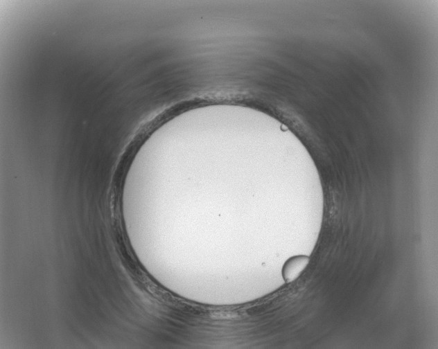 X0000066940636200604142024