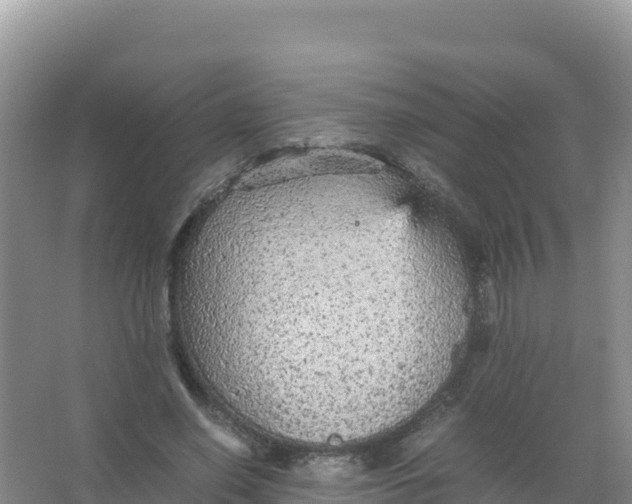 X0000066940638200604142024