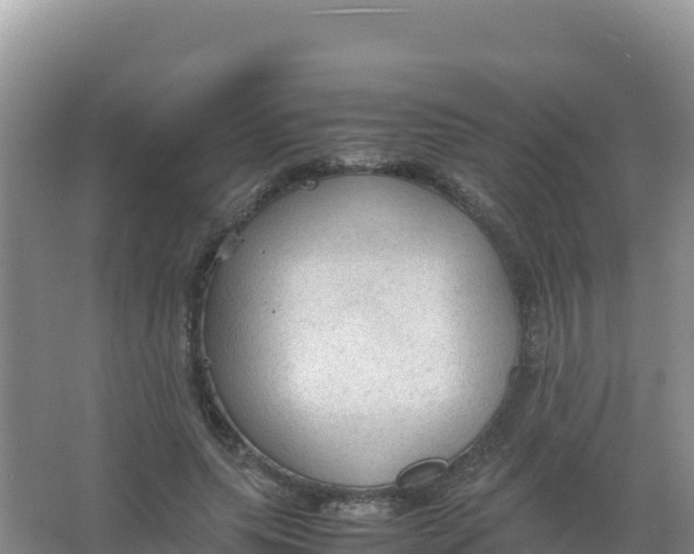 X0000066940639200604142024