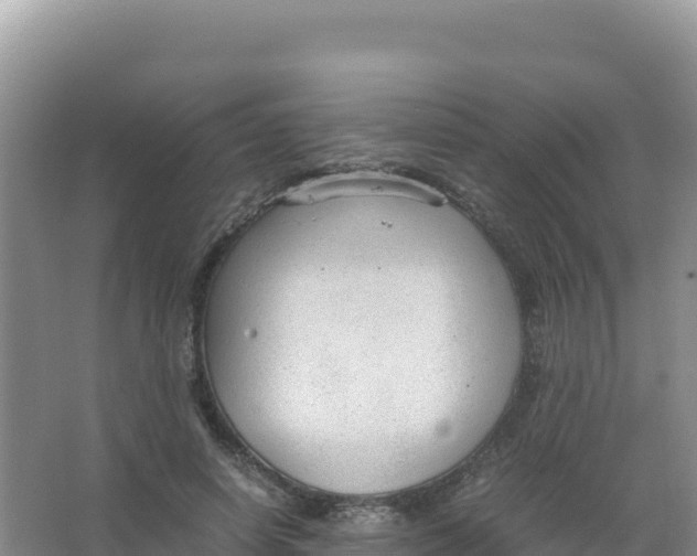 X0000066940642200604142024