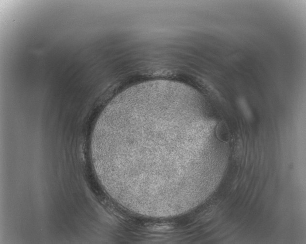 X0000066940643200604142024