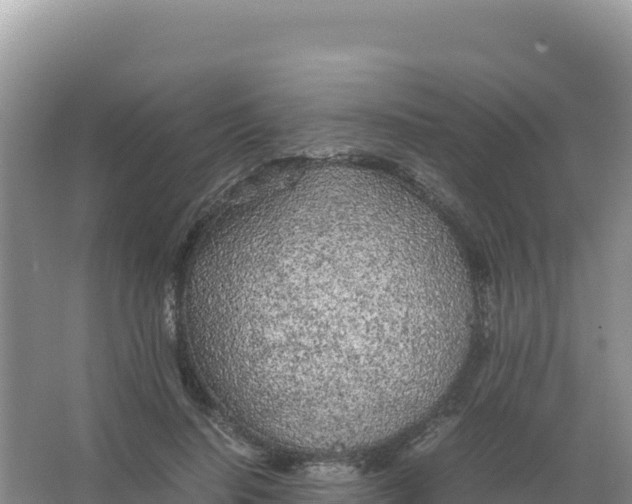 X0000066940644200604142025