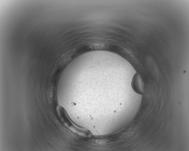 X0000066940645200604142025