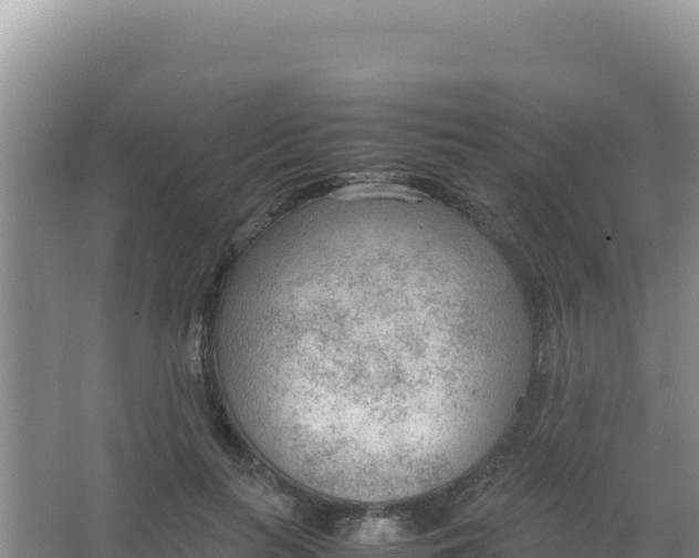 X0000066940647200604142025