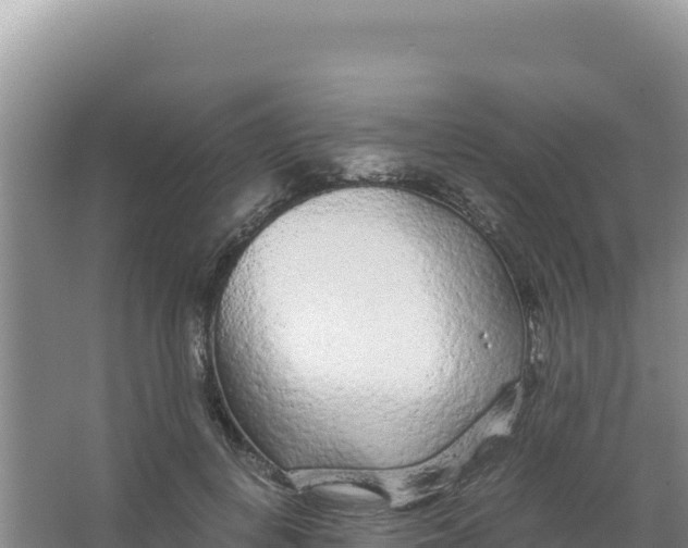 X0000066940648200604142025