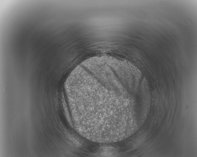 X0000066940650200604142025