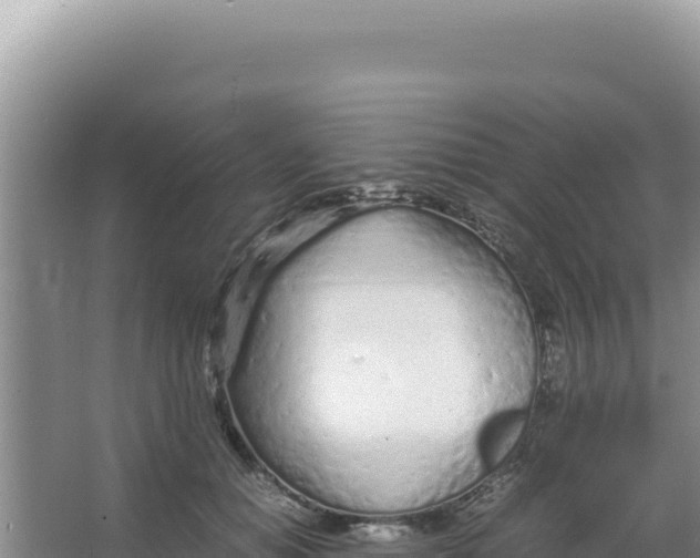 X0000066940654200604142025