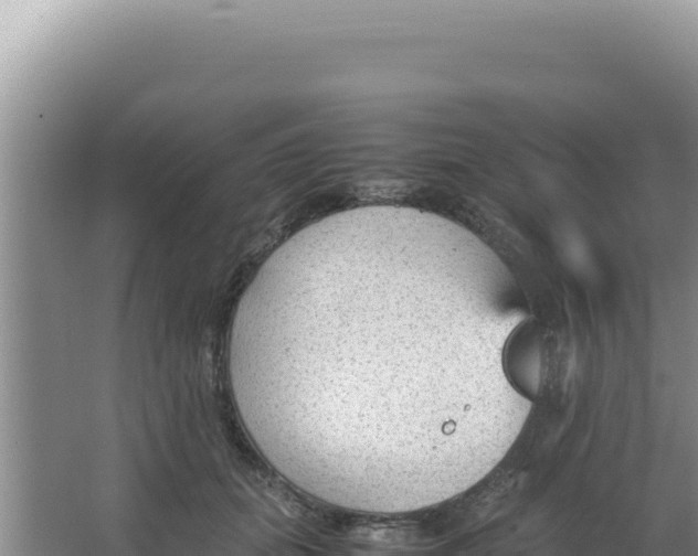 X0000066940655200604142025