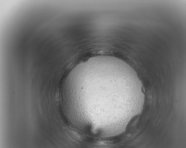 X0000066940657200604142025