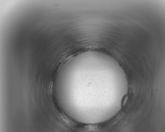 X0000066940660200604142025