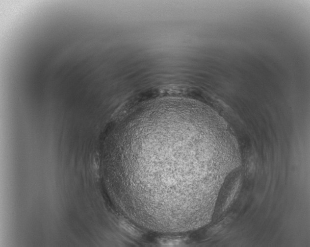 X0000066940661200604142025