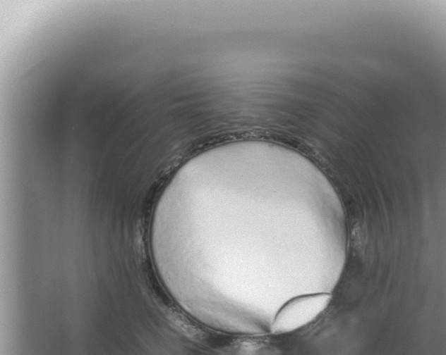 X0000066940662200604142025