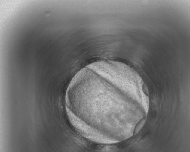 X0000066940663200604142025