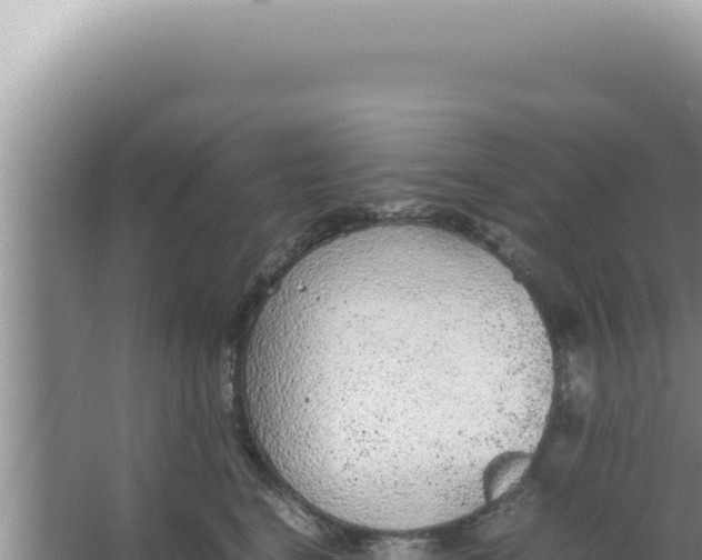 X0000066940664200604142025