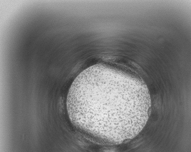 X0000066940667200604142025