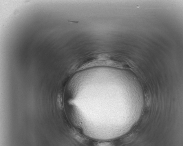 X0000066940669200604142025