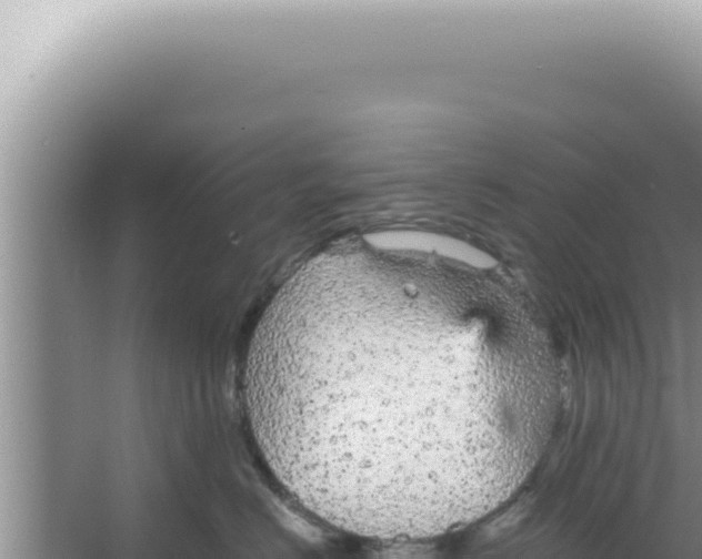 X0000066940670200604142025