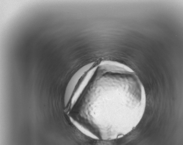 X0000066940671200604142025