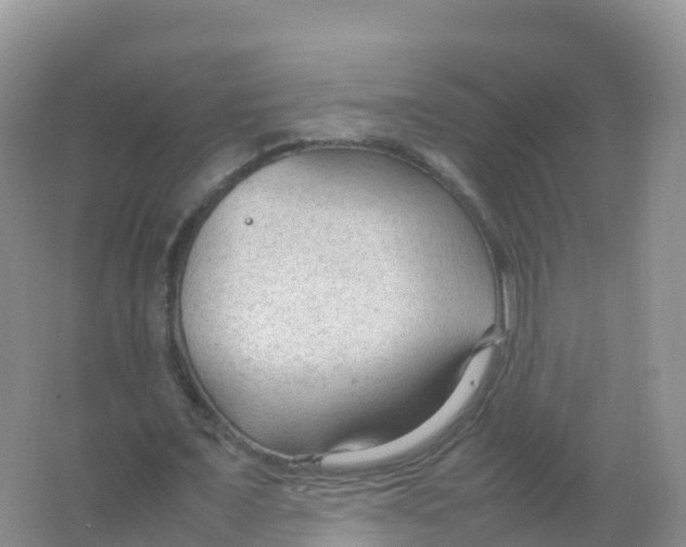 X0000066940675200604142024