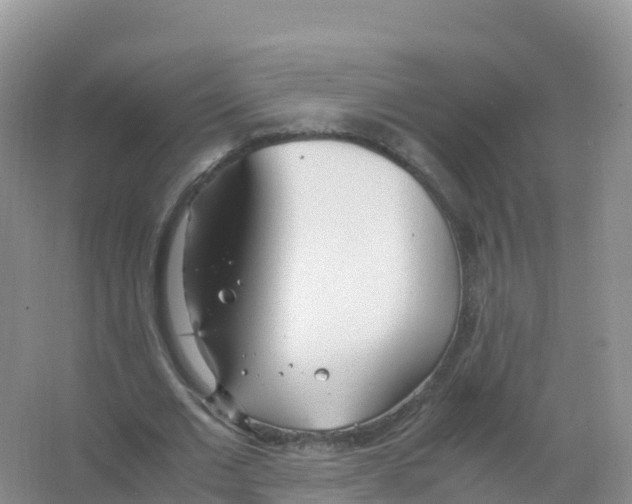 X0000066940677200604142024