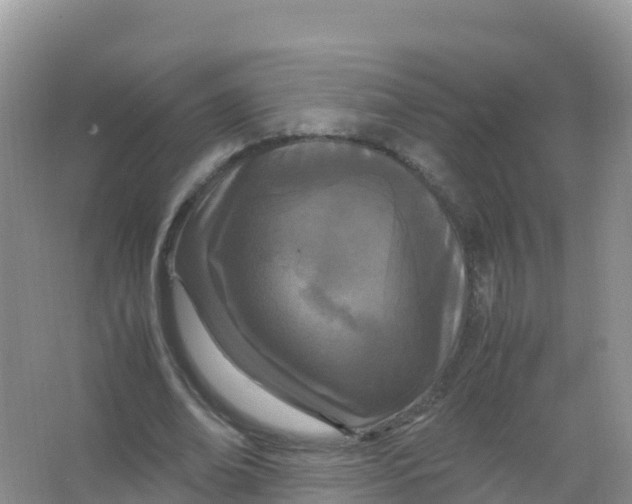 X0000066940678200604142024