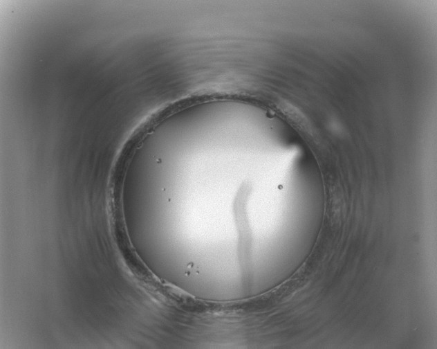 X0000066940680200604142024