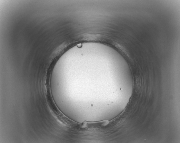 X0000066940682200604142024