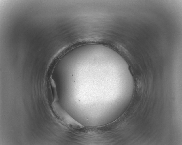 X0000066940684200604142024