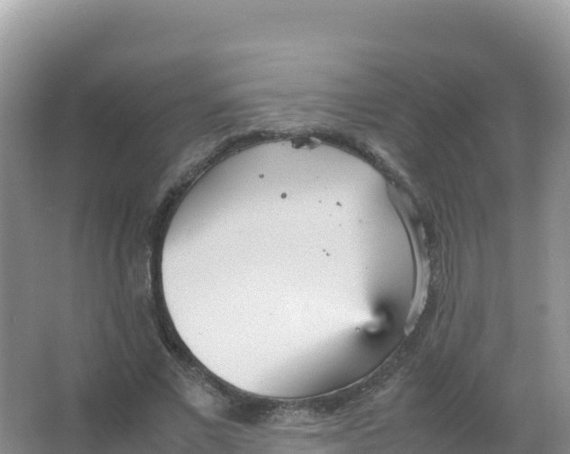 X0000066940685200604142024