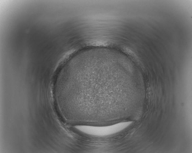 X0000066940688200604142024