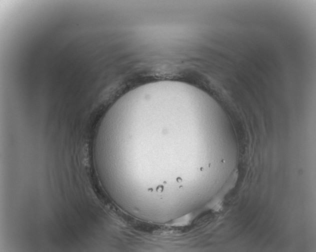 X0000066940689200604142024