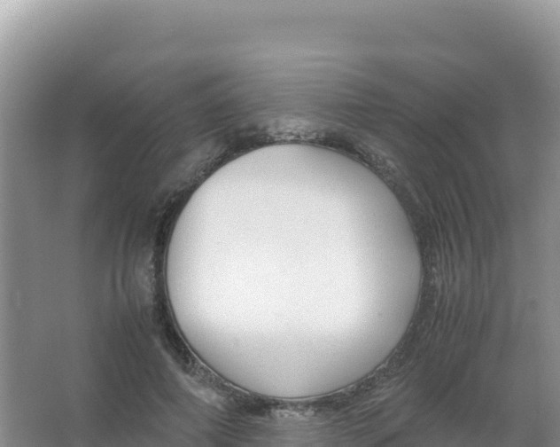 X0000066940690200604142024