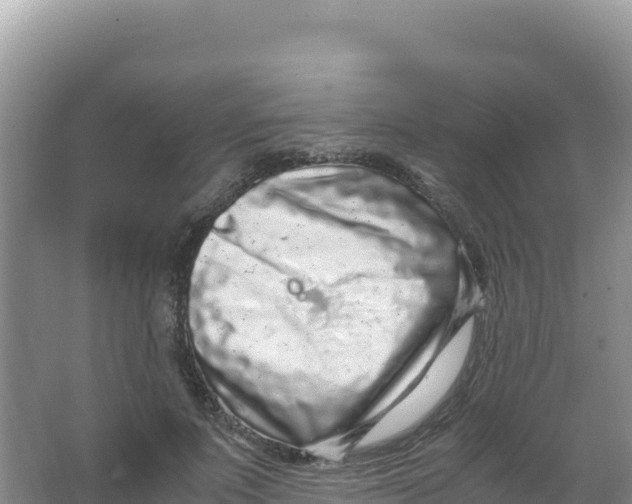 X0000066940691200604142024