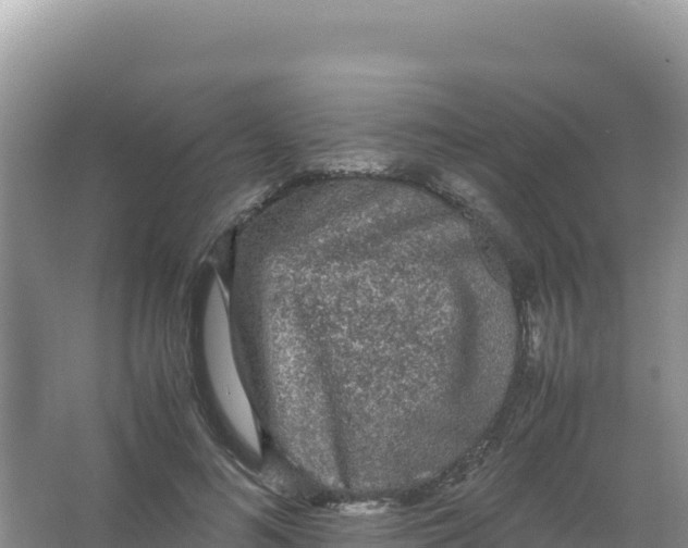 X0000066940692200604142024