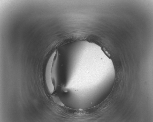 X0000066940693200604142024