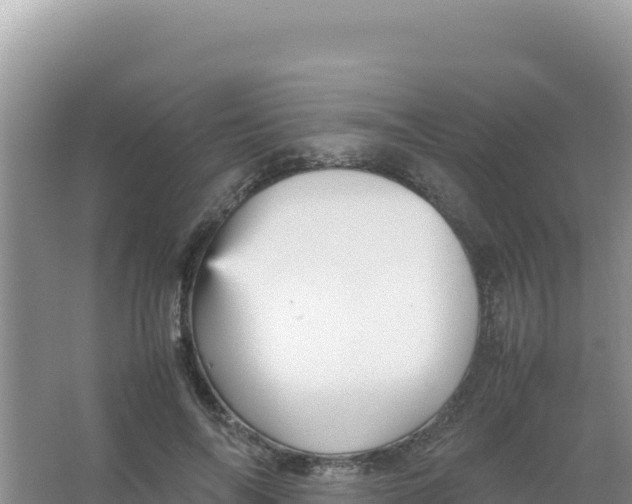 X0000066940694200604142024