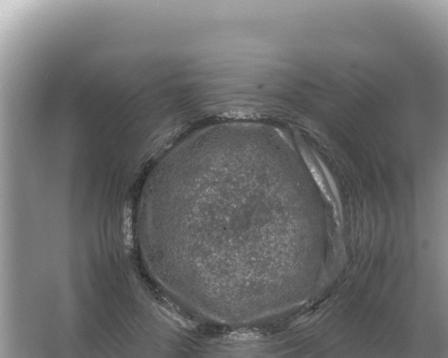 X0000066940696200604142024