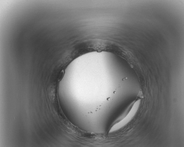 X0000066940697200604142024