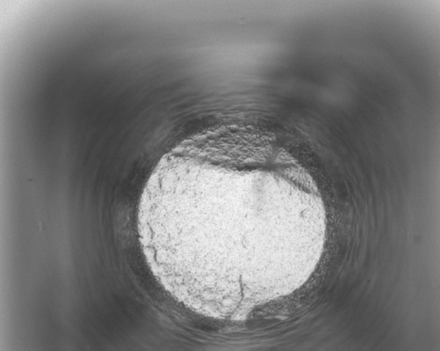 X0000066940699200604142024