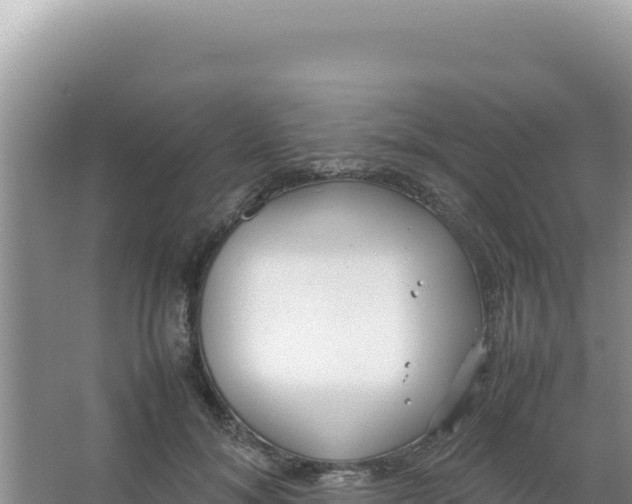 X0000066940700200604142024