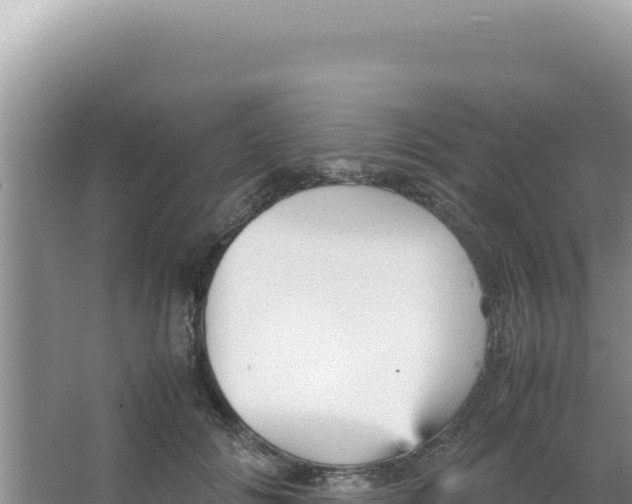 X0000066940702200604142024