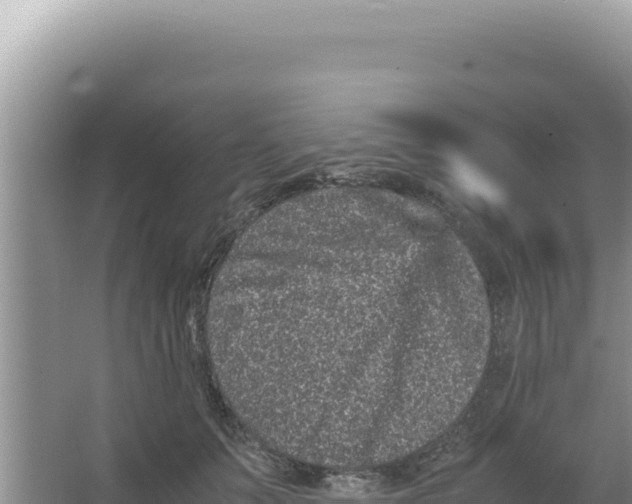 X0000066940703200604142024