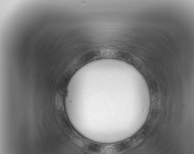 X0000066940705200604142024