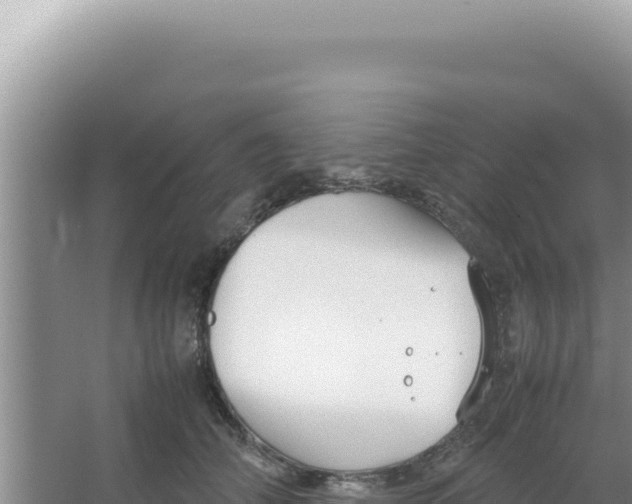 X0000066940706200604142024