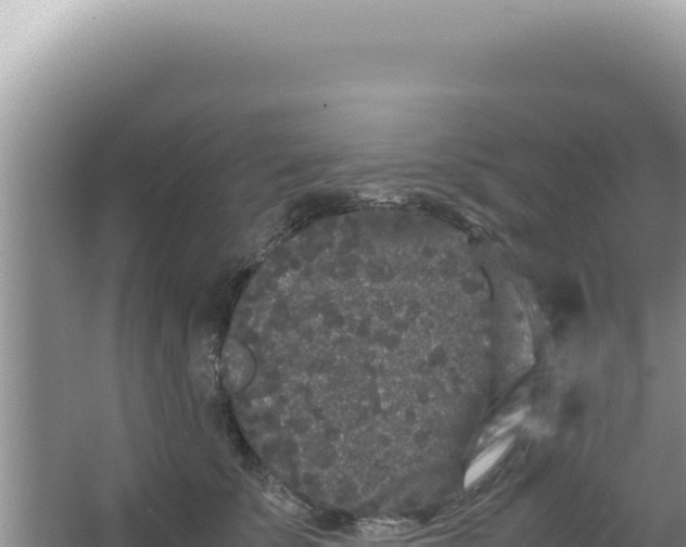 X0000066940707200604142024