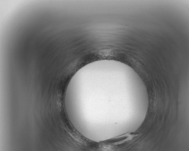 X0000066940710200604142024